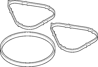 Комплект прокладок (ELRING: 008.170)