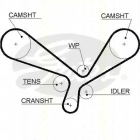 Ремень (TRISCAN: 8645 5520xs)