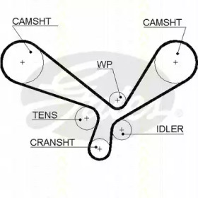 Ремень (TRISCAN: 8645 5557xs)