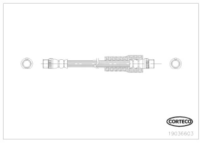 Шлангопровод (CORTECO: 19036603)
