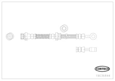Шлангопровод (CORTECO: 19036844)