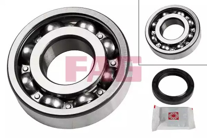 Комплект подшипника (FAG: 713 6630 60)