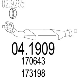 Катализатор (MTS: 04.1909)