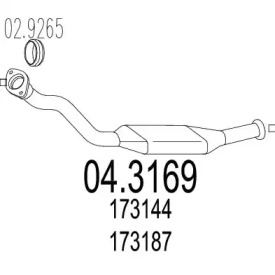 Катализатор (MTS: 04.3169)