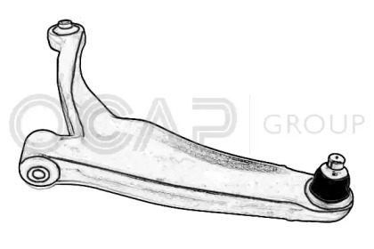 Рычаг независимой подвески колеса (OCAP: 0391756)