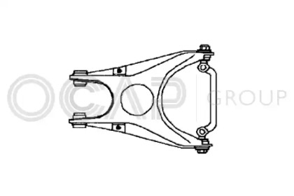 Рычаг независимой подвески колеса (OCAP: 0790003)