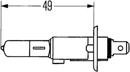 Лампа накаливания (HELLA: 8GH 002 089-491)