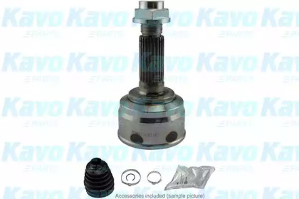 Шарнирный комплект (KAVO PARTS: CV-1519)