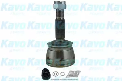 Шарнирный комплект (KAVO PARTS: CV-3004)