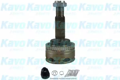 Шарнирный комплект (KAVO PARTS: CV-5519)