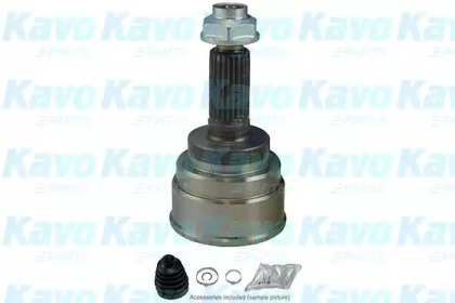 Шарнирный комплект (KAVO PARTS: CV-8504)