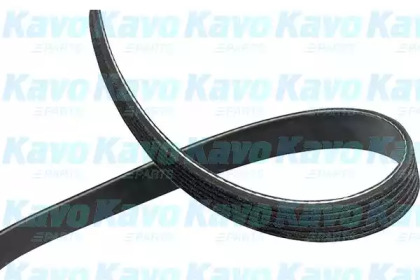 Ремень (KAVO PARTS: DMV-3041)