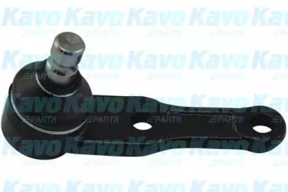 Шарнир (KAVO PARTS: SBJ-1005)