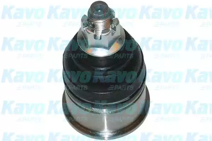 Шарнир (KAVO PARTS: SBJ-2009)