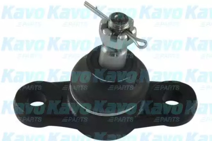 Шарнир (KAVO PARTS: SBJ-3001)