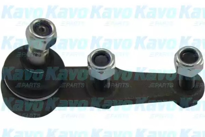 Шарнир (KAVO PARTS: SBJ-3008)