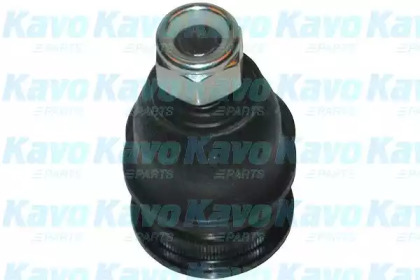 Шарнир (KAVO PARTS: SBJ-3010)