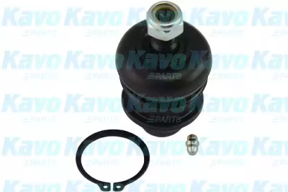 Шарнир (KAVO PARTS: SBJ-3011)