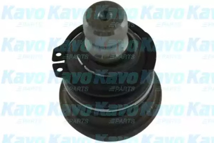 Шарнир (KAVO PARTS: SBJ-3017)