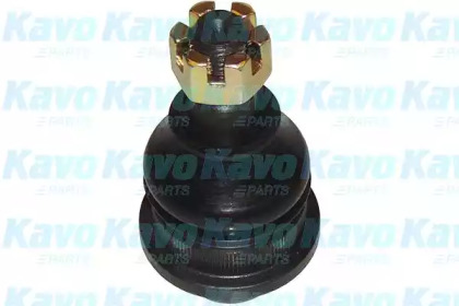 Шарнир (KAVO PARTS: SBJ-3020)