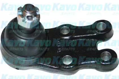 Шарнир (KAVO PARTS: SBJ-3021)