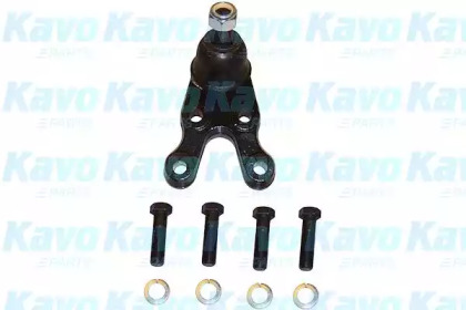 Шарнир (KAVO PARTS: SBJ-3024)