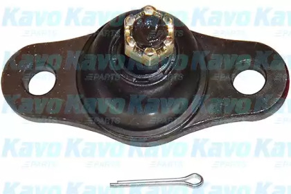 Шарнир (KAVO PARTS: SBJ-3028)