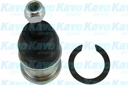 Шарнир (KAVO PARTS: SBJ-3032)