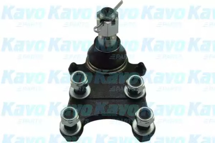 Шарнир (KAVO PARTS: SBJ-3505)