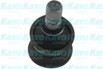 Шарнир (KAVO PARTS: SBJ-4007)