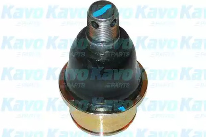 Шарнир (KAVO PARTS: SBJ-4008)