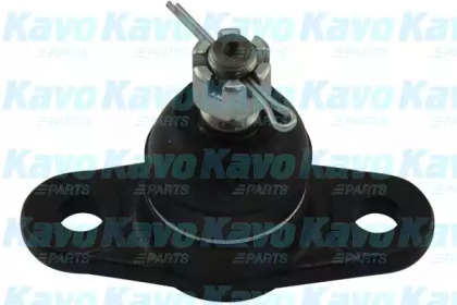 Шарнир (KAVO PARTS: SBJ-4009)