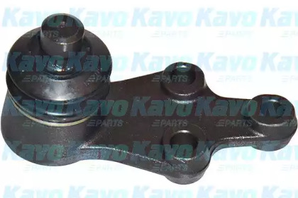 Шарнир (KAVO PARTS: SBJ-4014)