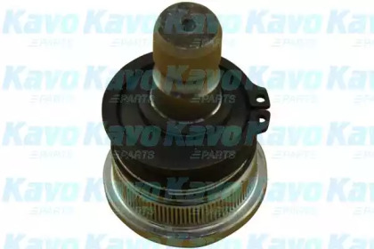 Шарнир (KAVO PARTS: SBJ-4017)