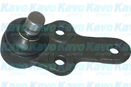 Шарнир (KAVO PARTS: SBJ-4501)