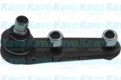 Шарнир (KAVO PARTS: SBJ-4502)