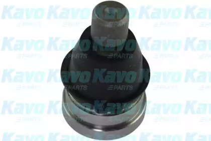 Шарнир (KAVO PARTS: SBJ-4525)