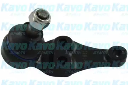 Шарнир (KAVO PARTS: SBJ-4531)