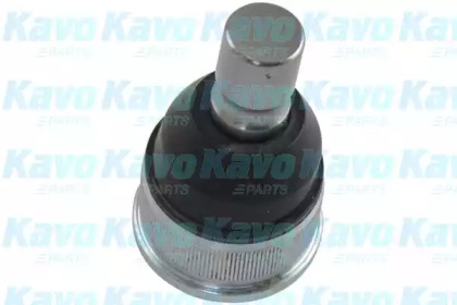 Шарнир (KAVO PARTS: SBJ-4535)