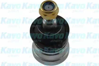 Шарнир (KAVO PARTS: SBJ-5501)