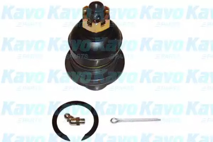 Шарнир (KAVO PARTS: SBJ-5502)