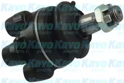 Шарнир (KAVO PARTS: SBJ-5503)