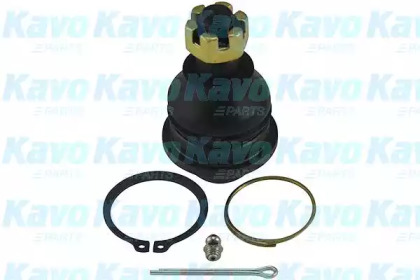 Шарнир (KAVO PARTS: SBJ-5504)