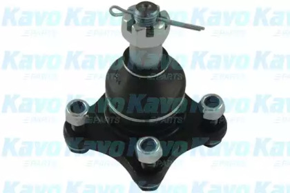 Шарнир (KAVO PARTS: SBJ-5508)