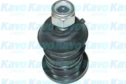 Шарнир (KAVO PARTS: SBJ-5512)