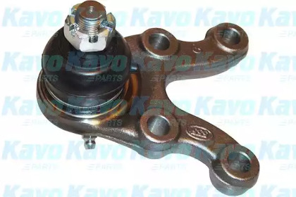 Шарнир (KAVO PARTS: SBJ-5514)