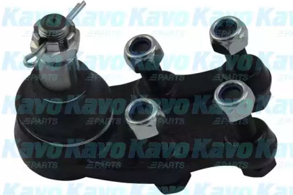 Шарнир (KAVO PARTS: SBJ-5520)