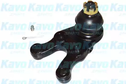 Шарнир (KAVO PARTS: SBJ-5524)