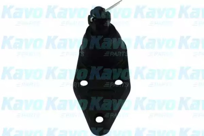 Шарнир (KAVO PARTS: SBJ-5526)