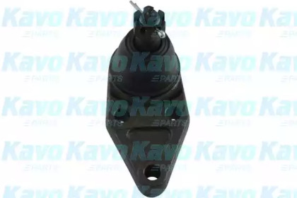 Шарнир (KAVO PARTS: SBJ-5528)